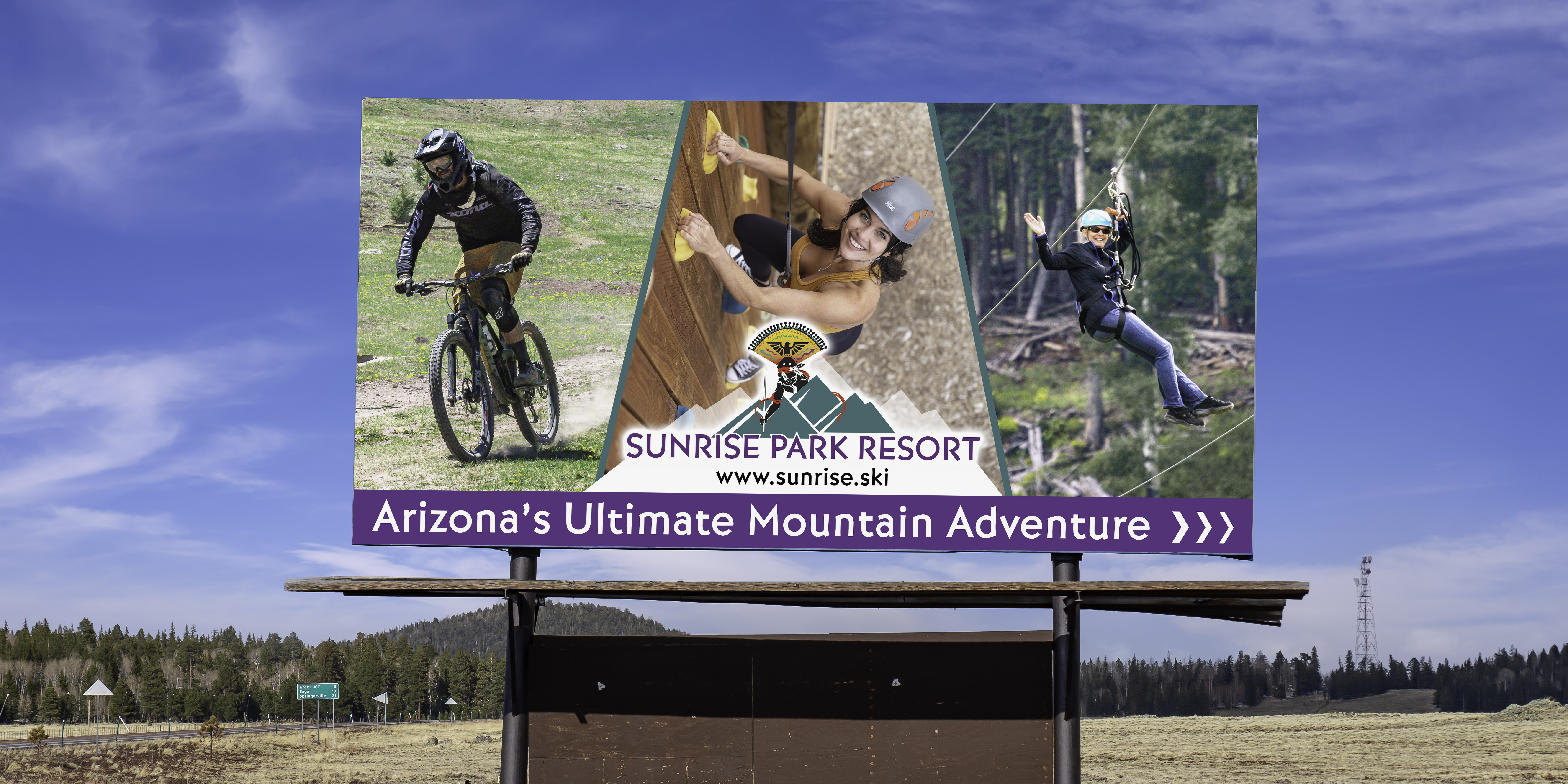 Graphic Design - Billboards