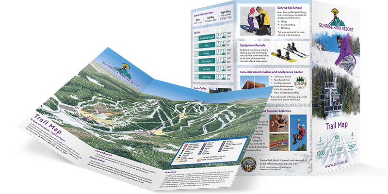 Graphic Design - Brochure Design