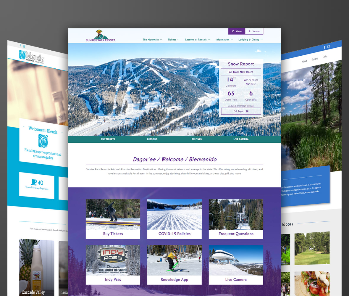 Website Design and Development
